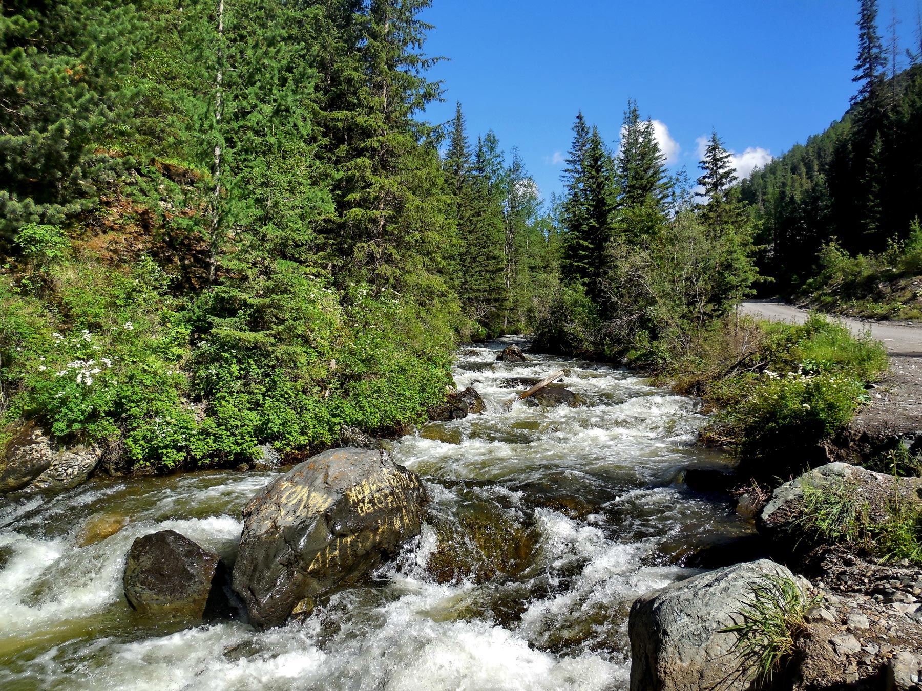Chuya valley (Чуйская долина)